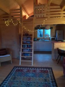 Biblioteket i denna chalet