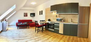 Kuchyňa alebo kuchynka v ubytovaní City Center Apartman Miskolc