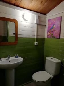 baño verde con aseo y lavamanos en Camping la Pedrera en Bigastro