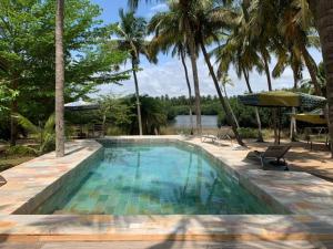 a swimming pool with two chairs and palm trees at Natura luxury camp in Ouidah