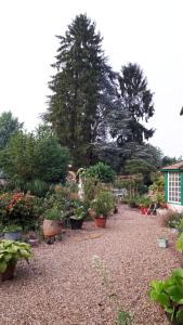 a garden with potted plants and trees and a house at Le Jardin des Merveilles in Saint-Pierre-dʼAutils