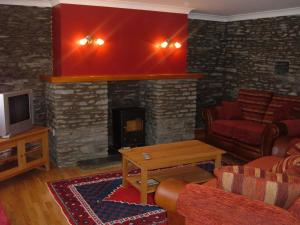 sala de estar con chimenea, sofá y TV en Gwarffynnon, en Lampeter