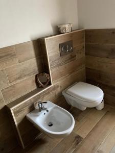 La salle de bains est pourvue d'un lavabo et de toilettes. dans l'établissement mansarda La Ruine, à Morgex