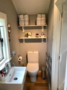 a small bathroom with a toilet and a sink at Sheelin Shepherds Hut in Cavan