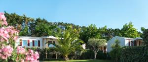 a house with pink flowers in the yard at Les Sables du Midi in Valras-Plage