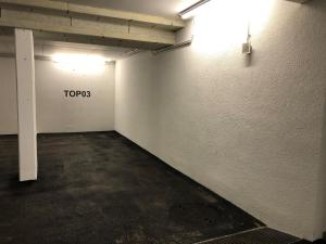Zdjęcie z galerii obiektu Apartment SCHLADMING - Neualm center w Schladming