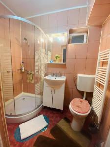 ein Badezimmer mit Dusche, Toilette und Waschbecken in der Unterkunft Amazing House Cazare in Sibiu + 54 Fotos