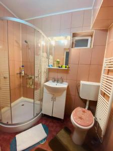 ein Badezimmer mit Dusche, Toilette und Waschbecken in der Unterkunft Amazing House Cazare in Sibiu