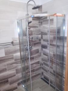 a shower in a bathroom with wooden tiles at Kaptárlevegős Vendégház in Füzesgyarmat