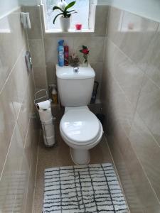 a small bathroom with a toilet and a window at Amber Guest House in London