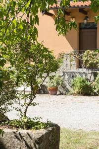 un pequeño árbol en un plantador de piedra en un patio en B&B Murolungo, en San Lazzaro di Savena