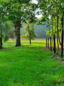 a grassy field with trees and a fence at Ferienwohnungen Unter den Eichen in Stade