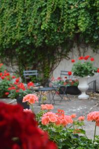 Ein paar rote Blumen im Garten. in der Unterkunft Henry II in Saarlouis