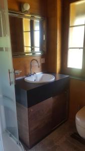 ein Bad mit einem Waschbecken und einem WC in der Unterkunft Chalet Aisha in Corbeyrier