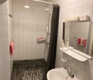 y baño con ducha y lavamanos. en Berg Toboz Panzió, en Pécs