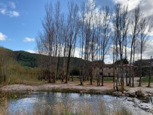 Táj Show holiday homes közelében