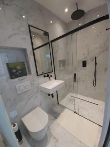Vonios kambarys apgyvendinimo įstaigoje Logement luxueux dans le coeur de Bruxelles
