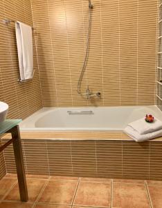uma casa de banho com uma banheira com uma toalha e um lavatório em Pico Partido villa em Tinguatón