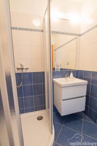 a bathroom with a shower and a sink at Opilé Sklepy in Velké Pavlovice