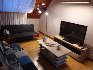 Televízia a/alebo spoločenská miestnosť v ubytovaní Laissey-vous tenter