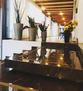 a glass table in a room with potted plants at Hotel Casablanca Suites in Indaiatuba