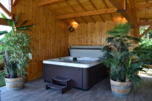 a jacuzzi tub on a patio with two plants at Le Refuge des Épicuriens in Eymet