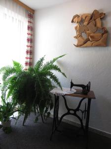 Fotografie z fotogalerie ubytování Haus Barbara v destinaci Nauders