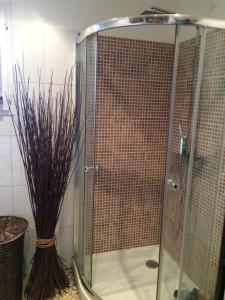 a shower with a glass door in a bathroom at BEAUN'MAISON Spa Piscine Borne électrique in Beaune