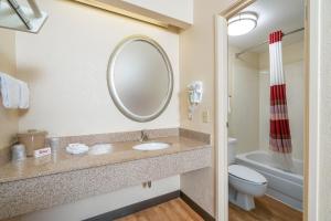 a bathroom with a toilet, sink and mirror at Red Roof Inn Cleveland Airport - Middleburg Heights in Middleburg Heights