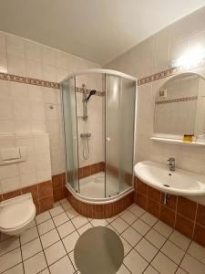 y baño con ducha, aseo y lavamanos. en Rathausstüberl, en Bad Radkersburg