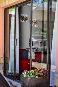 a window of a house with flowers in a pot at Quiet Getaway in Bloemfontein