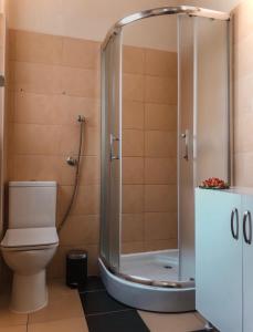 a shower stall in a bathroom with a toilet at Apartman Tara in Belgrade
