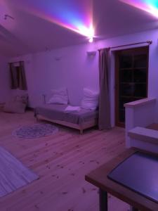een kamer met een bed en een paars licht bij Lichtspiel im Grünen - moderne Ruhe in Schnabelwaid
