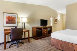Телевизор и/или развлекательный центр в Country Inn & Suites by Radisson, Atlanta Downtown