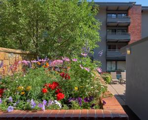 Zahrada ubytování Aspen Square Condominium Hotel