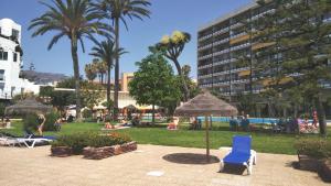 un parco con una sedia blu e palme e un edificio di Torremolinos 1ª linea playa a Torremolinos