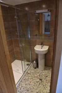 a bathroom with a shower and a sink at Delfryn Guest Suite in Haverfordwest