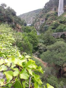 a view of a river with a bridge in the background at Largo da Fonte in Sertã