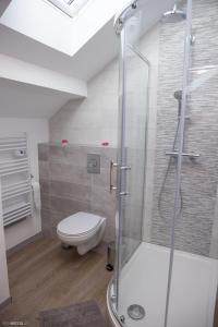 a bathroom with a toilet and a glass shower at Modern Living in Huningue