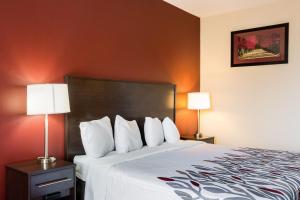 Postel nebo postele na pokoji v ubytování Red Roof Inn Dumas