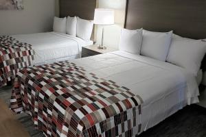 una habitación de hotel con 2 camas y una lámpara en Red Roof Inn & Suites Vicksburg, en Vicksburg