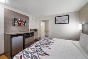 ein Hotelzimmer mit einem Bett und einem Fernseher in der Unterkunft Red Roof Inn San Antonio E - Frost Bank Center in San Antonio