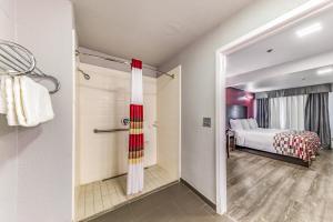 Postel nebo postele na pokoji v ubytování Red Roof Inn Dallas - Mesquite Fair Park NE