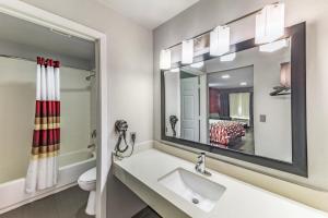 Koupelna v ubytování Red Roof Inn Dallas - Mesquite Fair Park NE