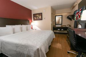 Letto o letti in una camera di Red Roof Inn PLUS+ University at Buffalo - Amherst