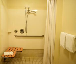 Bagno di Red Roof Inn PLUS+ University at Buffalo - Amherst