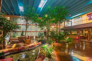 Zahrada ubytování Red Roof Inn Lubbock
