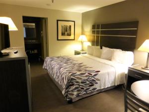 een hotelkamer met een groot bed en twee lampen bij Red Roof Inn Columbia, TN in Columbia