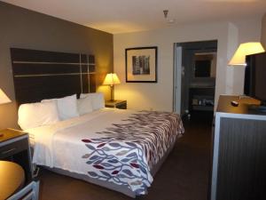een hotelkamer met een bed en een televisie bij Red Roof Inn Columbia, TN in Columbia