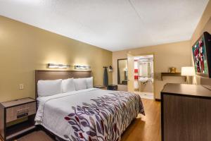 Номер в Red Roof Inn Kalamazoo West - Western Michigan U